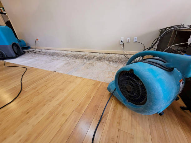 Professional Sewage Cleanup technician working in Pflugerville, TX